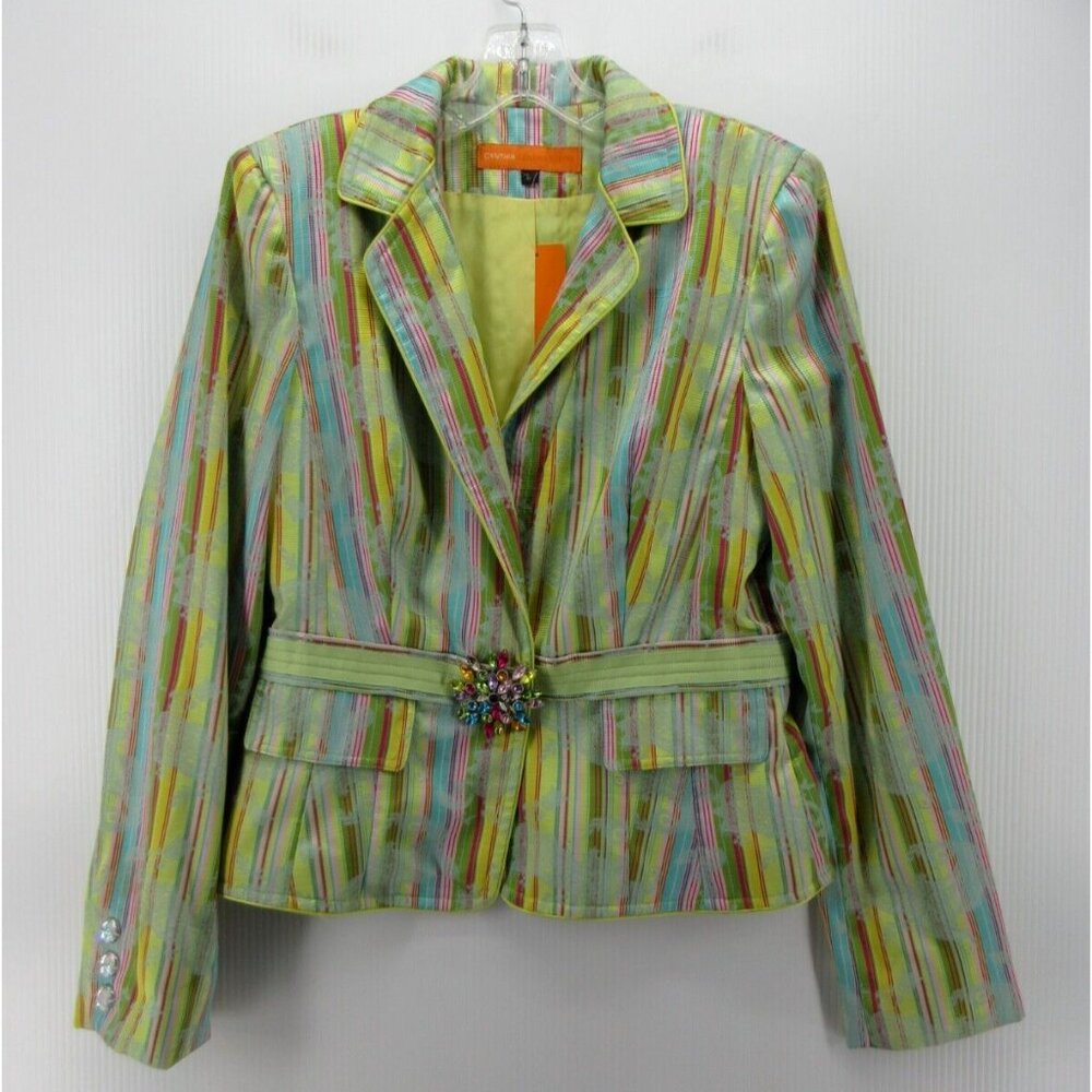 Cynthia Steffe Multicolor Striped Blazer
